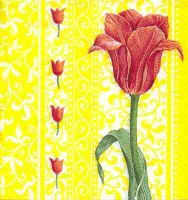 Tulip Poesie - yellow
